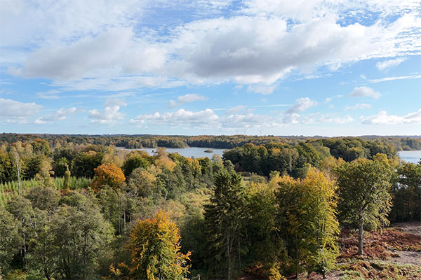 Drönarfilm över naturen